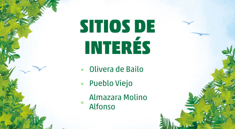 el olivar