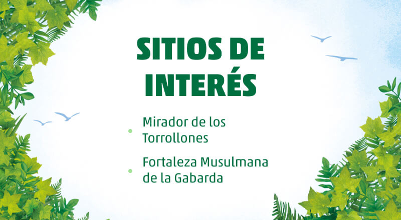 torrollones