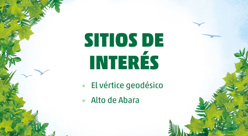 de abara