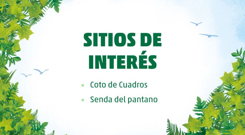 de santomera