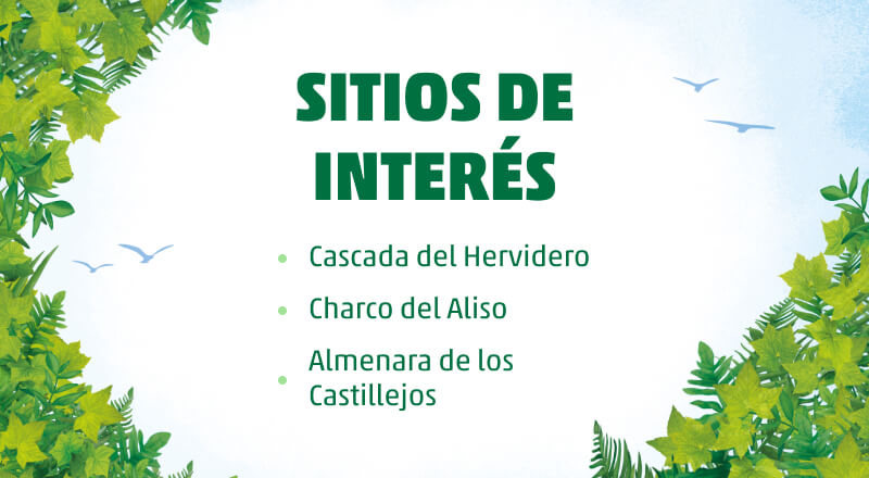 del hervidero