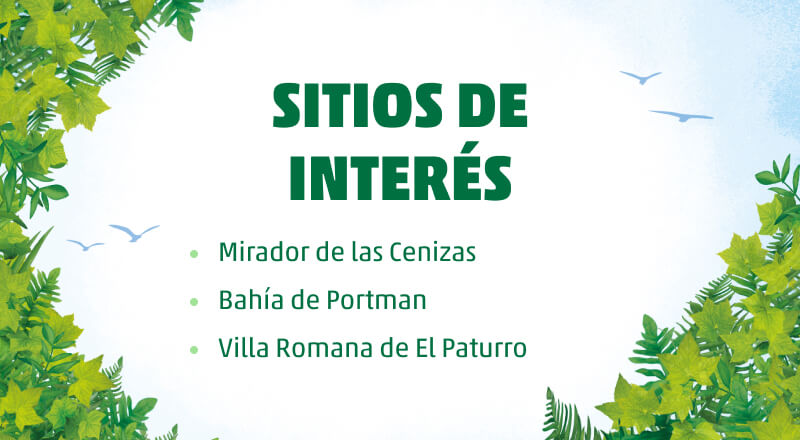 cenizas
