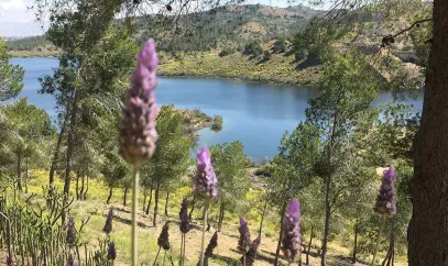 Murcia- Coto de los cuadros y pantano de Santomera