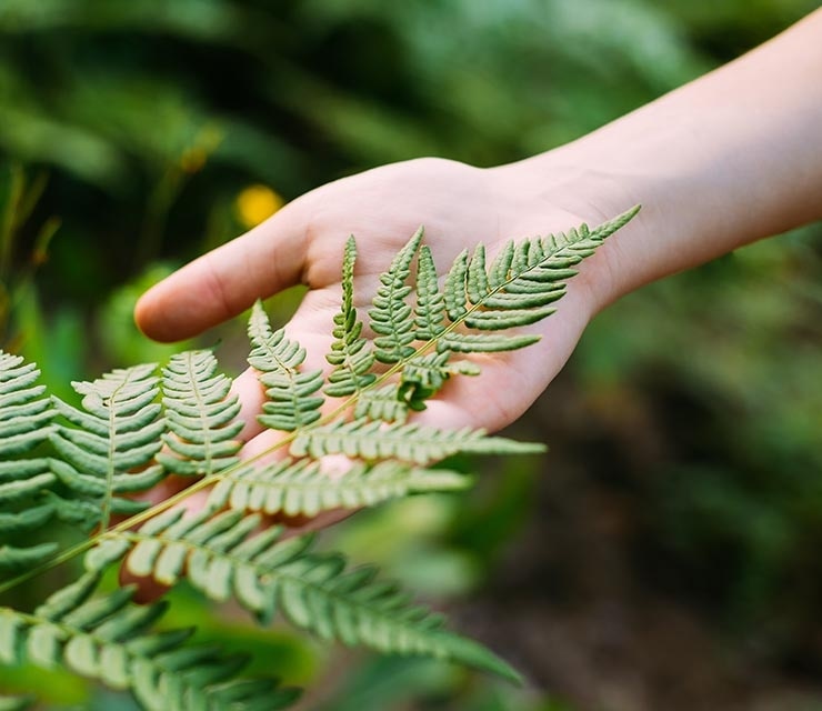 hand