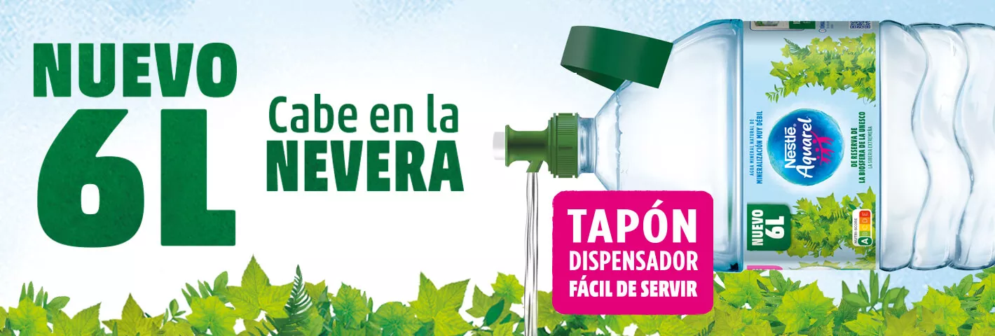nuevo 6 L