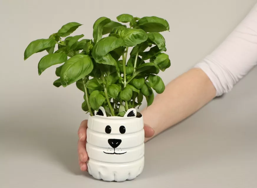 Una maceta con forma de oso polar y una planta de albahaca.