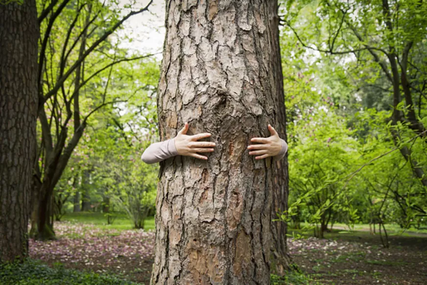 hand with tree