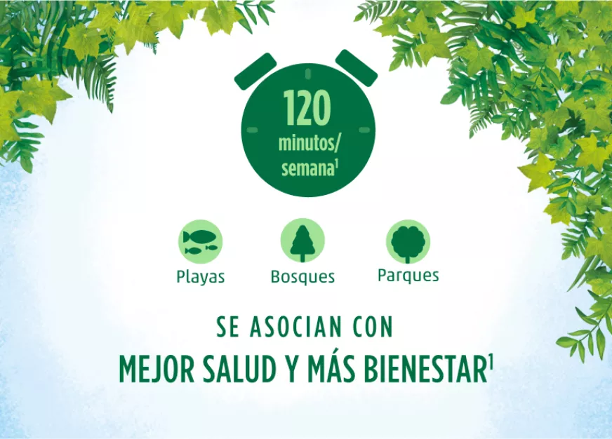 info