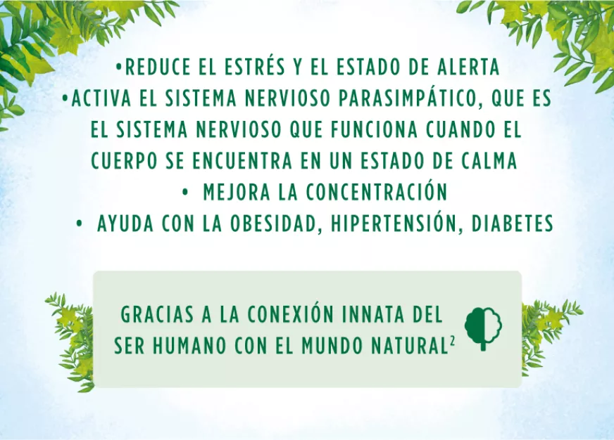 info2