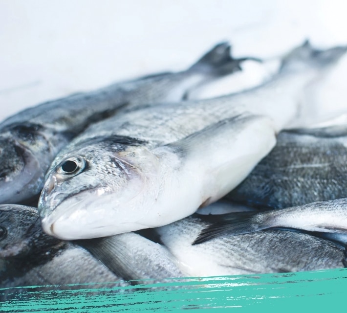 Imagen de pescado.