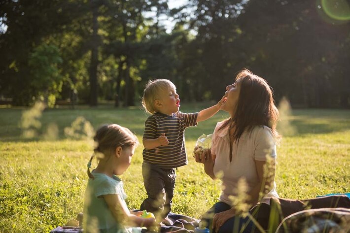 family on  sun
